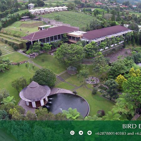 Amaryllis Boutique Resort Paragajen Buitenkant foto
